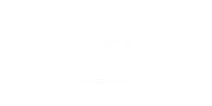 cli2_gideao