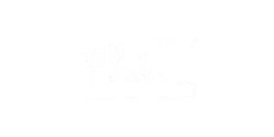 cli2_mqv